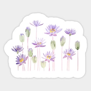 purple waterlily horizontal watercolor Sticker